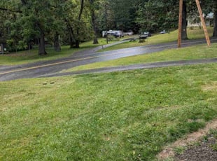 Sarah L.'s grass maintenance service result