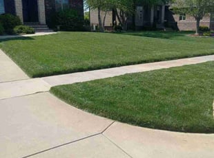 Abigail S.'s lawn care service result