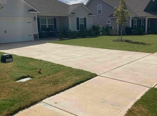 Manisha S.'s turf care service result