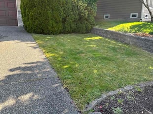 Brenda I.'s lawn service service result