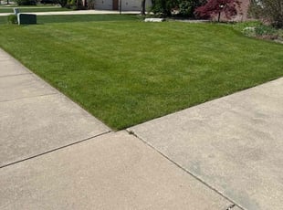 Jules Y.'s turf care service result