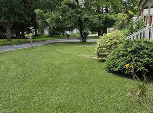 Jennifer W.'s grass cutting service result