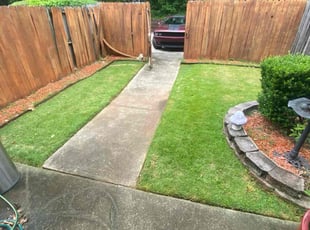 Thomas D.'s turf care service result