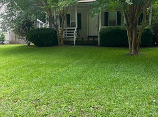 Jeff D.'s lawn service service result