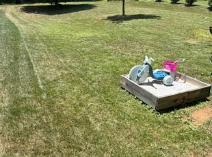 Deshaun S.'s lawn maintenance service result