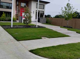 Bryan M.'s turf maintenance service result