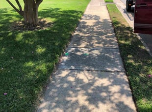 Tiffany N.'s lawn care services service result