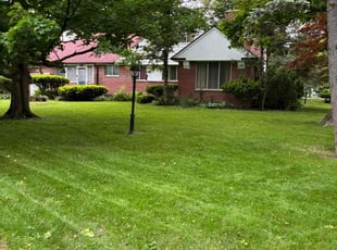 Patricia K.'s grass cutting service result