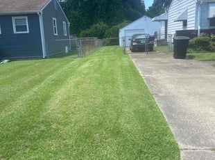 Tom M.'s lawn maintenance service result