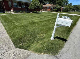 Kyle B.'s lawn maintenance service result