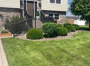 Carrie K.'s Bush Trimming service result