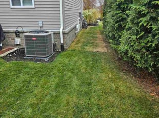 Lisa T.'s Leaf Removal service result