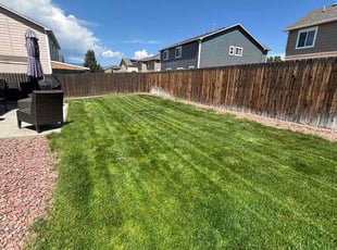 Mehul S.'s lawn care service result