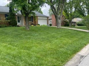 Fred S.'s lawn care service result