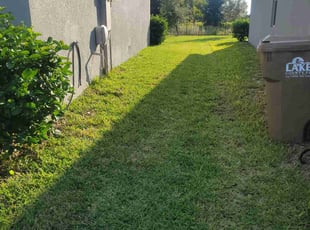 John D.'s lawn maintenance service result
