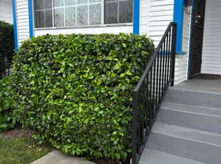 Jeri V.'s Bush Trimming service result