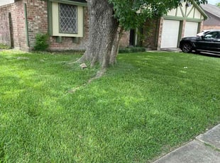 Kristen K.'s lawn maintenance service result