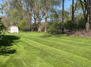 Ryan M.'s grass maintenance service result