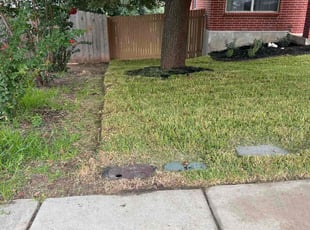 Sheila D.'s lawn care service result