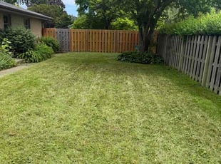 Eugenia J.'s lawn service service result