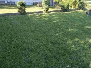 Michael G.'s lawn service service result