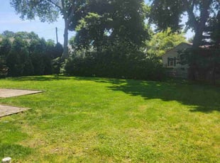 Walter J.'s turf maintenance service result