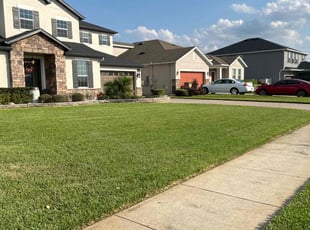 Corey C.'s lawn care service result