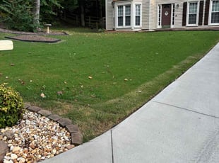 Tyvontae N.'s grass maintenance service result