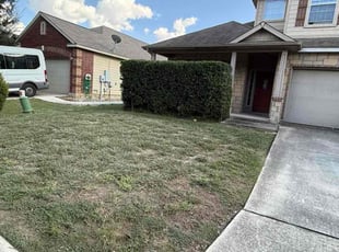 Troy B.'s turf maintenance service result