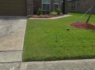 Carleen C.'s grass maintenance service result