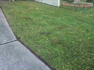 Amjad H.'s lawn service service result