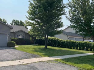 Angela C.'s Long Grass Cleanup service result