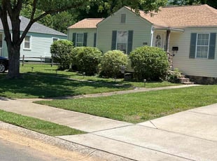 Chris C.'s grass cutting service result
