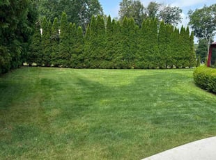 Cindy G.'s lawn care service result