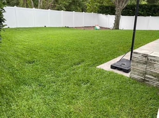 Cari P.'s lawn care services service result