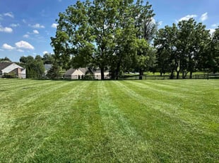 Gregg E.'s turf care service result