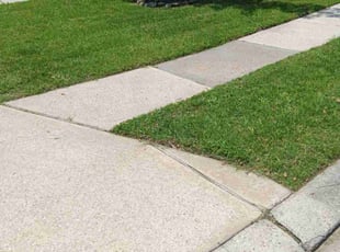 Sharon P.'s lawn service service result