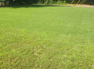 Tee L.'s lawn maintenance service result
