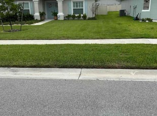Heather Z.'s lawn care service result