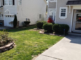 Nadine R.'s Bush Trimming service result
