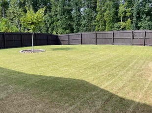 Favour C.'s turf care service result