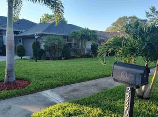 Kyarra M.'s grass cutting service result