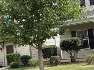 Gayla C.'s Bush Trimming service result