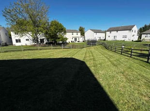 Elizabeth D.'s grass maintenance service result