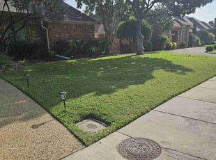 Leighton H.'s turf care service result