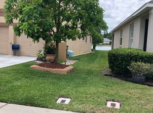 Sheila P.'s grass cutting service result