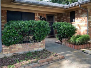 Amit T.'s Bush Trimming service result