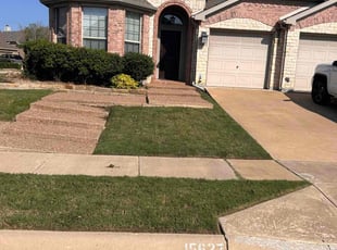 David Y.'s lawn maintenance service result