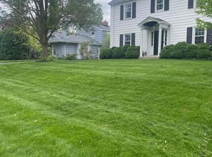 Donna T.'s lawn maintenance service result