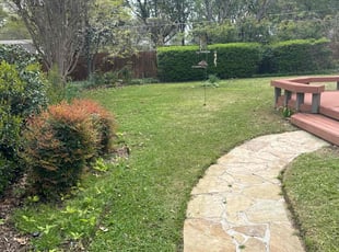 Mary C.'s turf maintenance service result